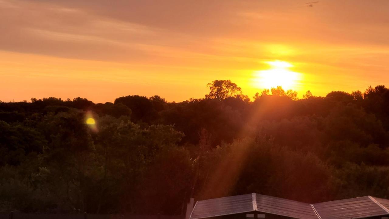 Gite Du Soleil Maison Lumineuse Avec Terrasse Solarium Parking Prive Sorède 外观 照片